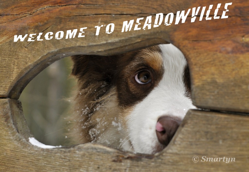Welcome to MEADOWVILLE Welcome to MEADOWVILLE